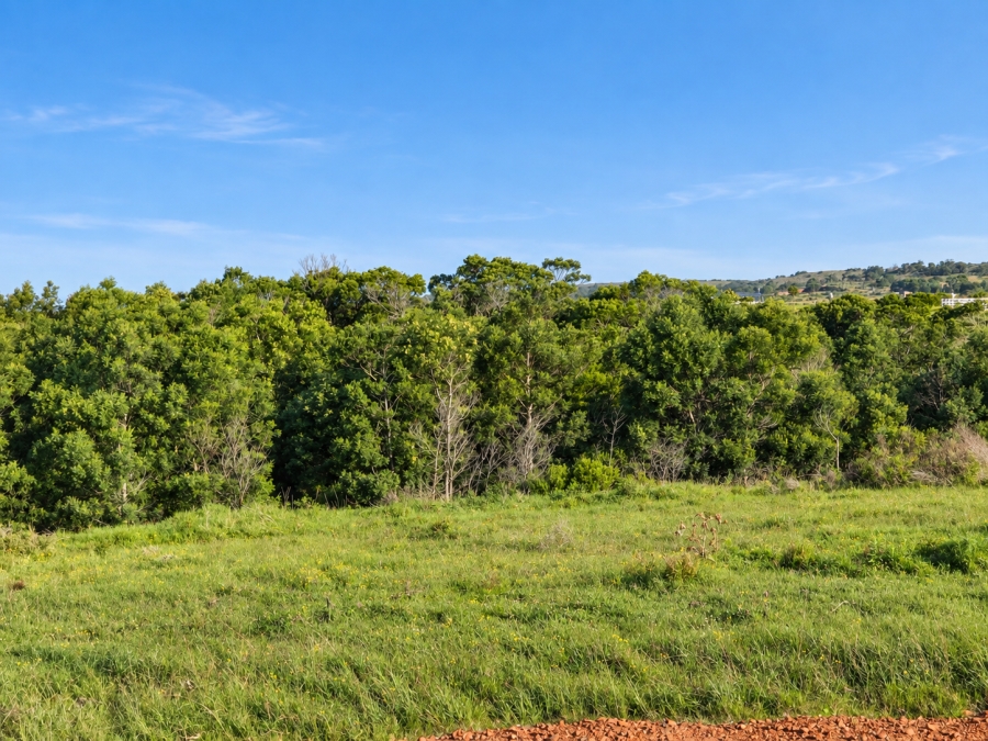 0 Bedroom Property for Sale in Kabeljauws Eastern Cape